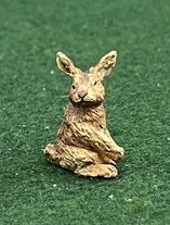 Brown Rabbit Head Turned