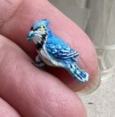 Blue Jay