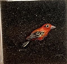 Wild Bird 4