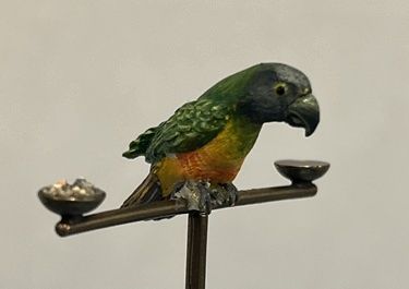 Parrot on Stand
