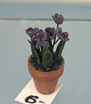 Violets in Clay Pot