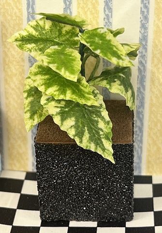 Houseplant in Cubic Planter