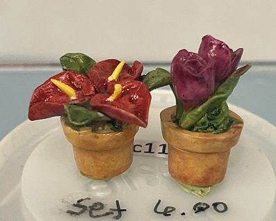 Two Small Plants