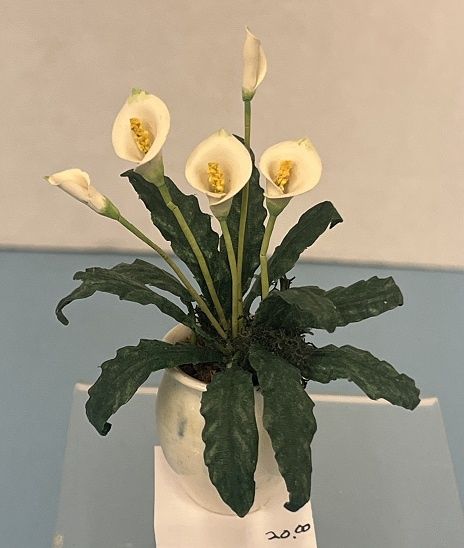 White Calla Lilies
