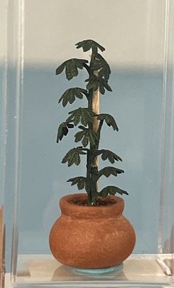 1/24th Climbing Plant