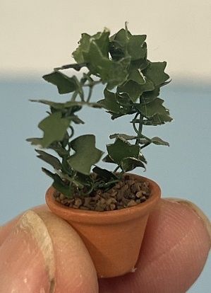 Small Ivy Topiary