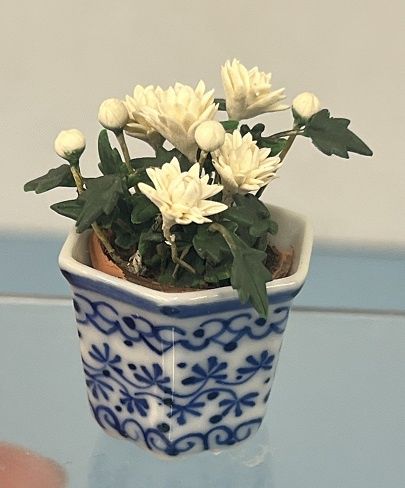 White Flowers in China Pot