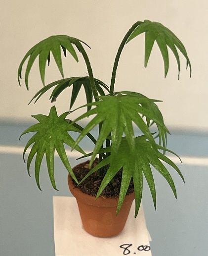 Small Palm in Pot