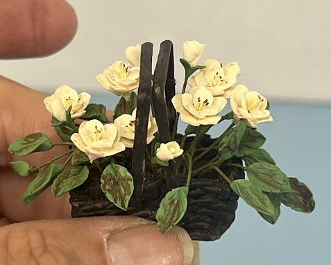 White Flowers in a Basket