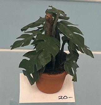 Short Cut Leaf Philodendron
