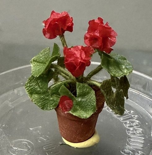 Potted Red Geranium