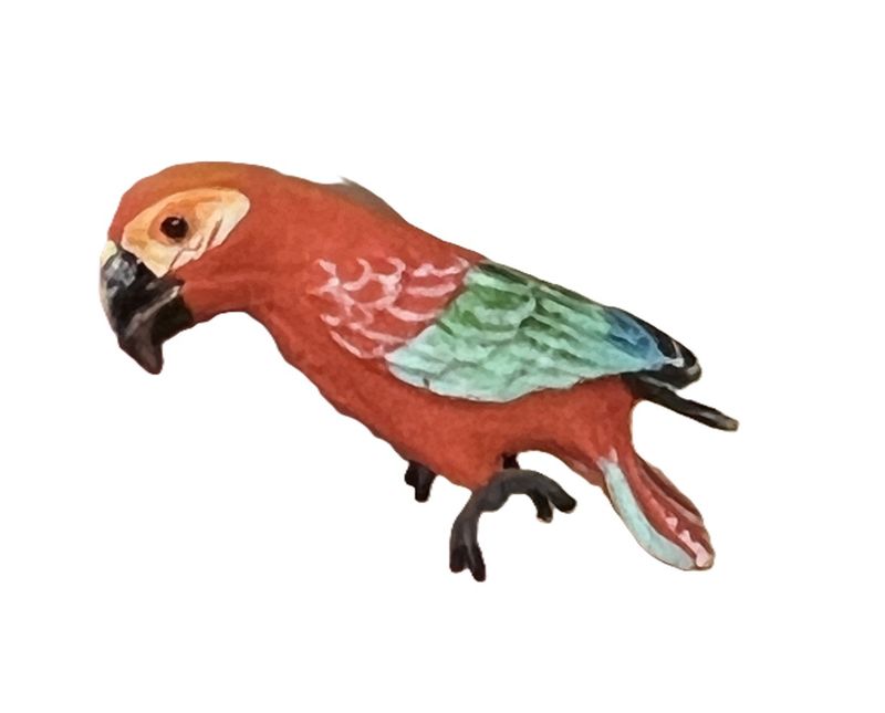 Green Wing Macaw
