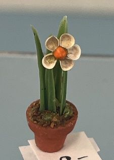 1/24th Daffodil in Pot