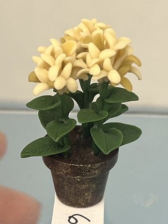 Flowering Plant
