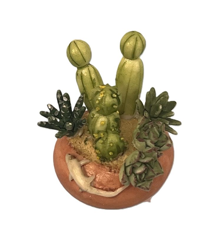 Cacti in Round Bowl