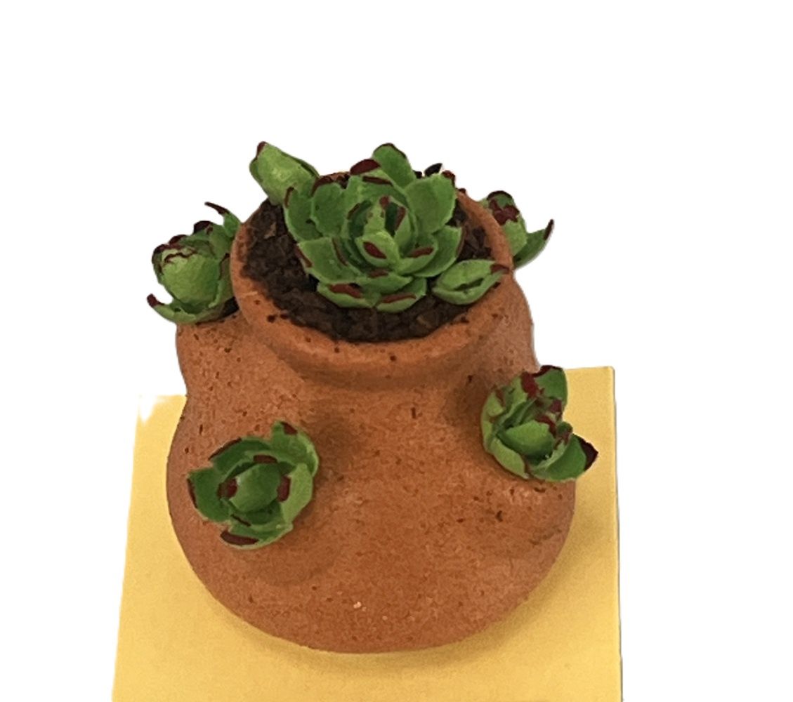 Cacti in Strawberry Pot
