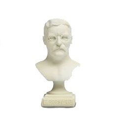 SAFroo Bust of  President Teddy Roosevelt