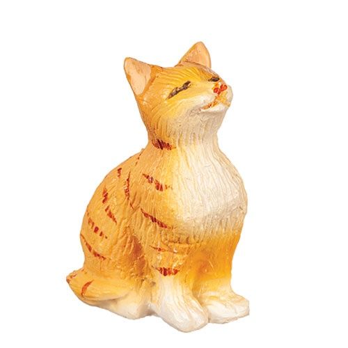 E0201 Tabby Cat