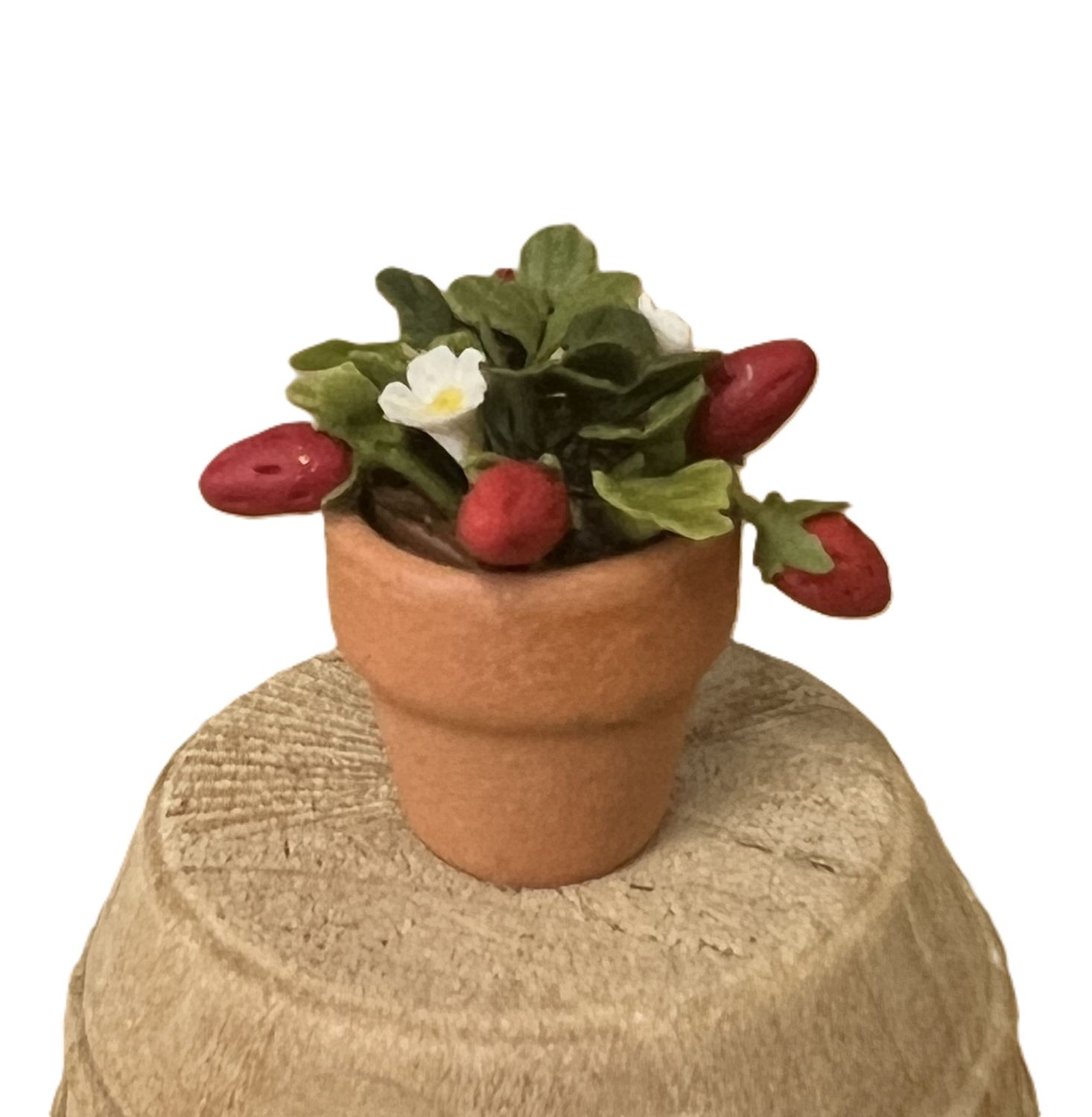 Strawberries in a Pot