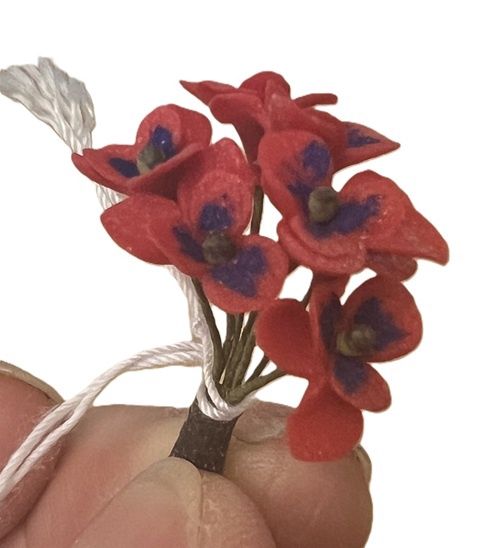6 Red &amp; Blue Pansies