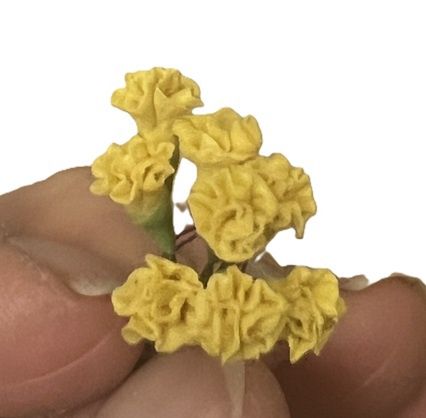 8 Yellow  Flowers