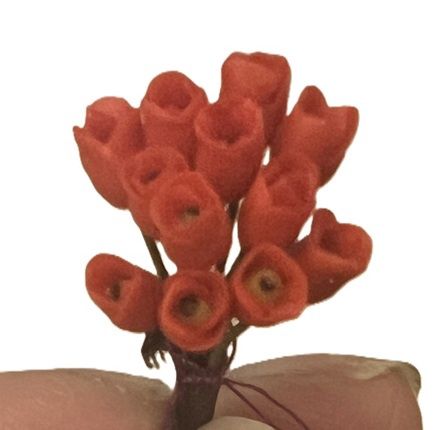 12 Red Tulips