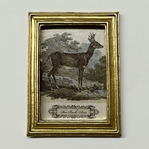 Roe Buck Deer Framed Art