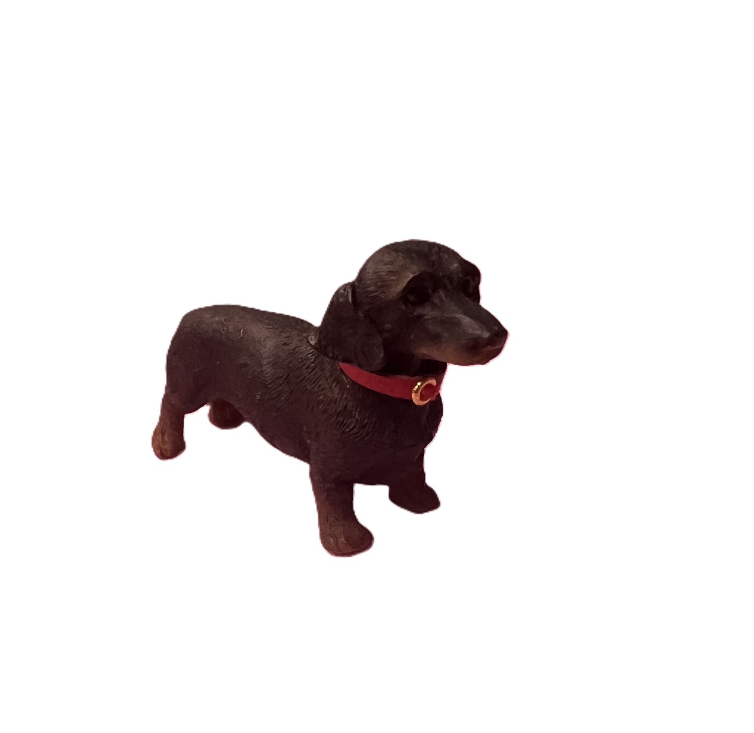 Heidi Ott Dachshund