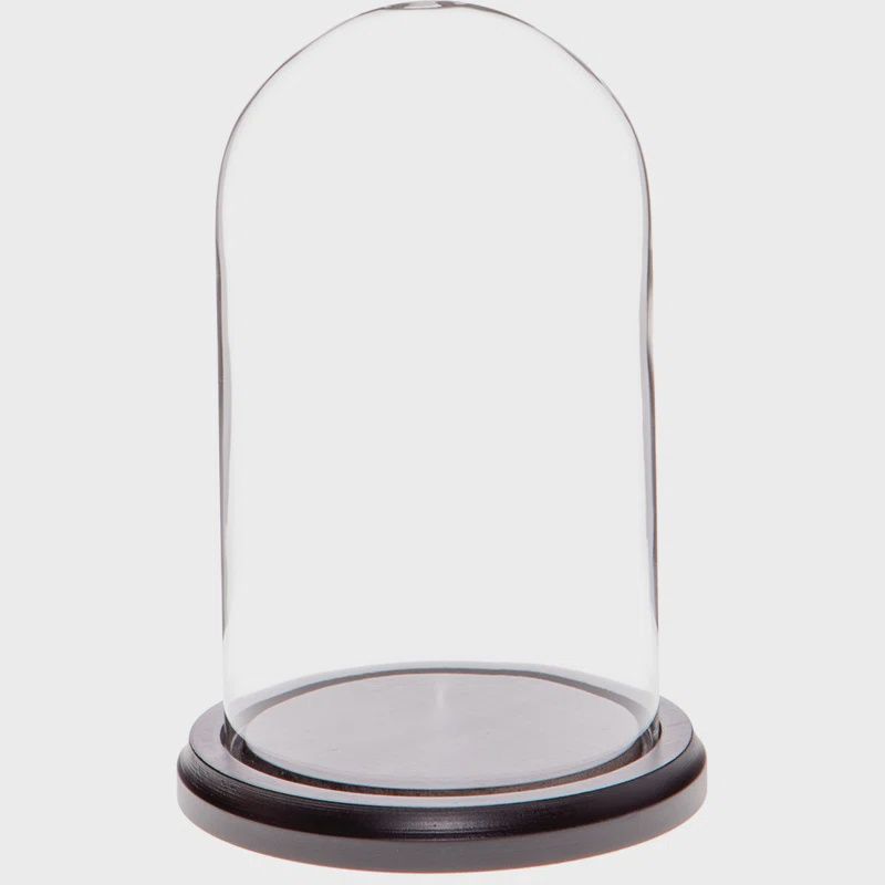 Glass Display Dome Cloche 5.5" x 8" tall
