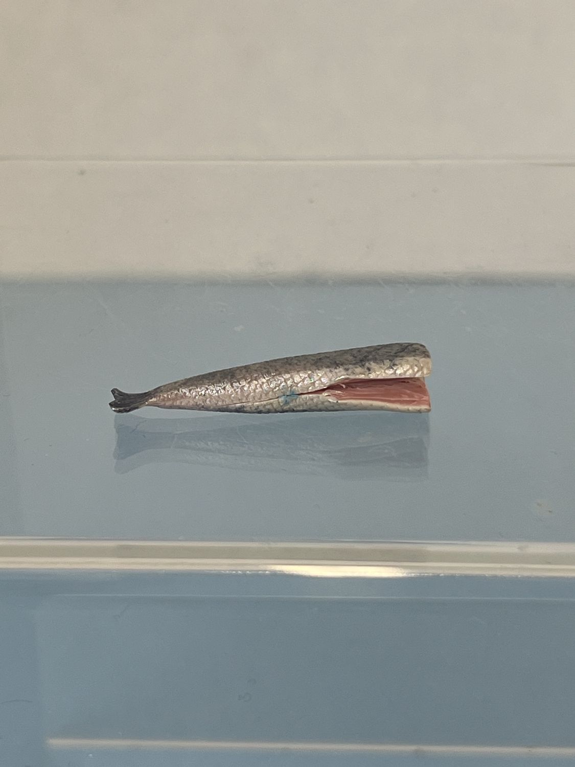 Filleted  Fish