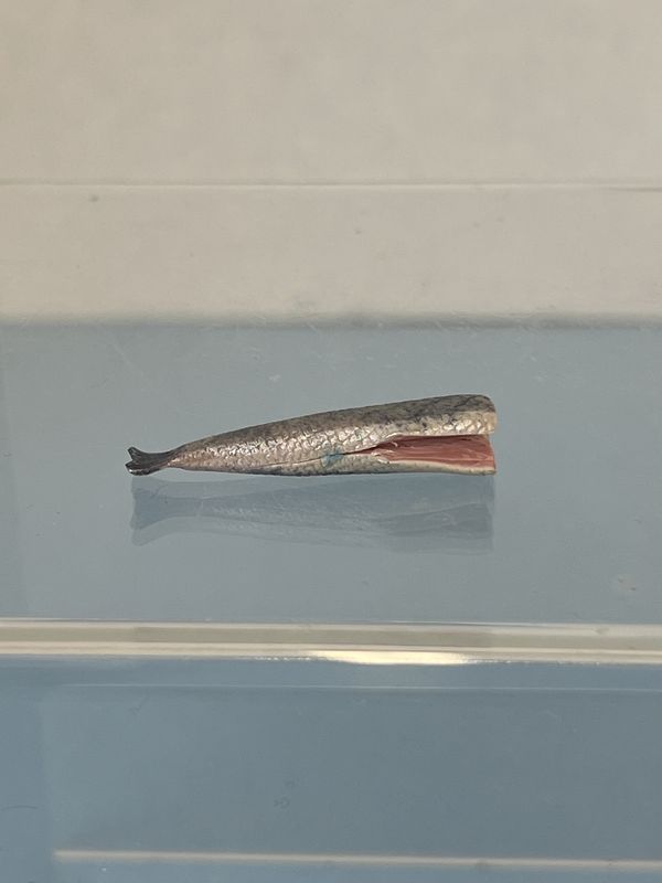 Filleted  Fish