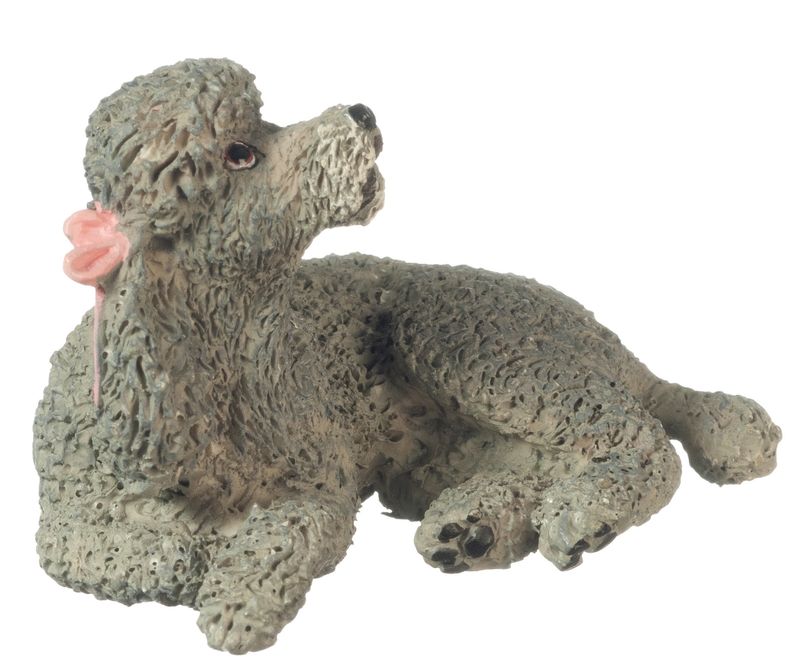 AZA6036 MINIATURE POODLE GRAY
