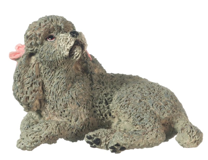 AZA6036 MINIATURE POODLE GRAY