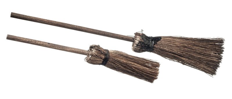 AZA9969 WITCHES BROOMS/2.2