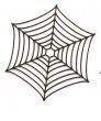 Spider Web