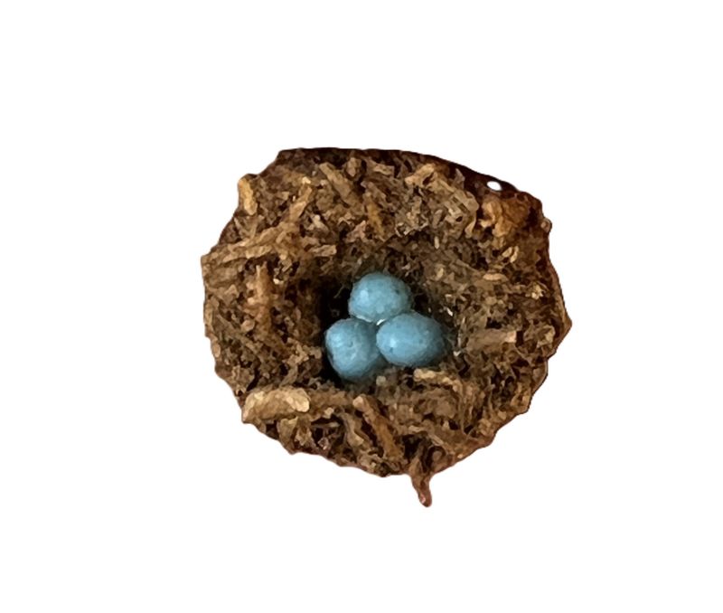 Bird Nest with Eggs