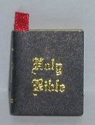 IM65262 HOLY BIBLE