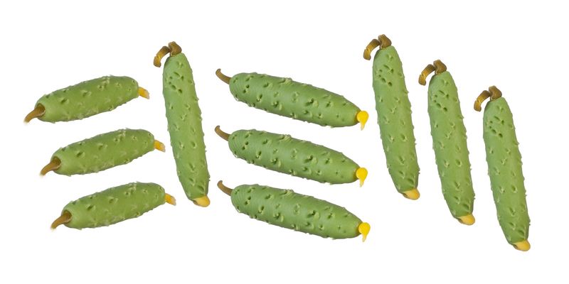 AZG5974 CUCUMBERS SET/10
