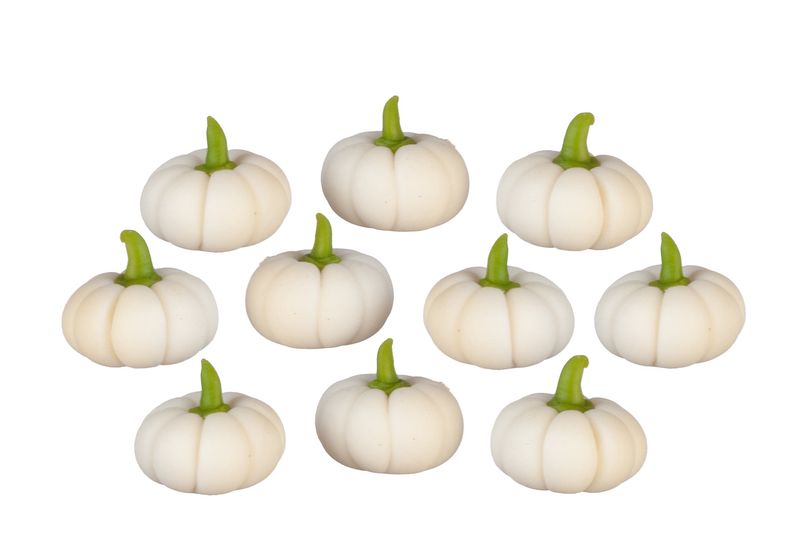 AZG5975 WHITE SQUASH SET/10