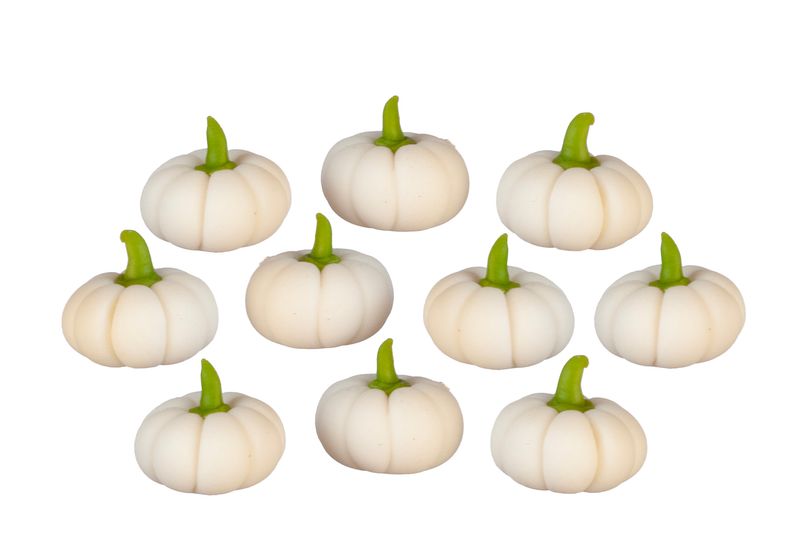 AZG5975 WHITE SQUASH SET/10