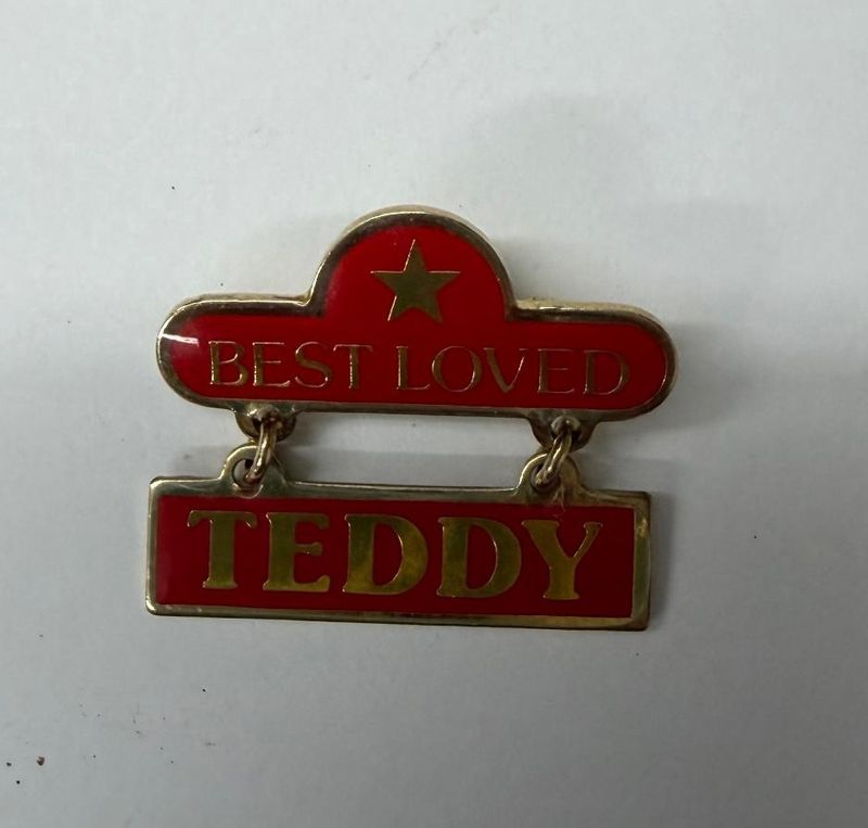 Best Loved Teddy Pin