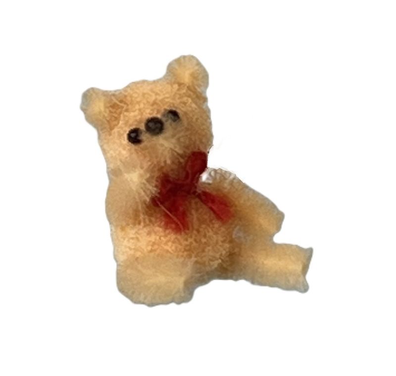 Teeny Tiny Bear