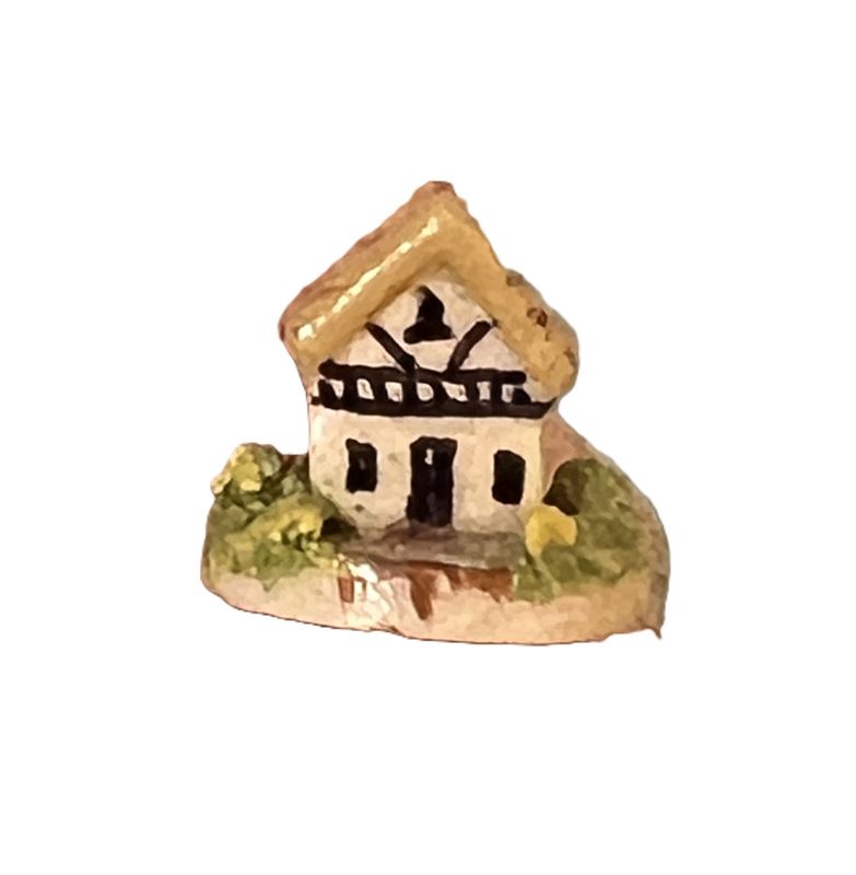 Teeny Tiny House