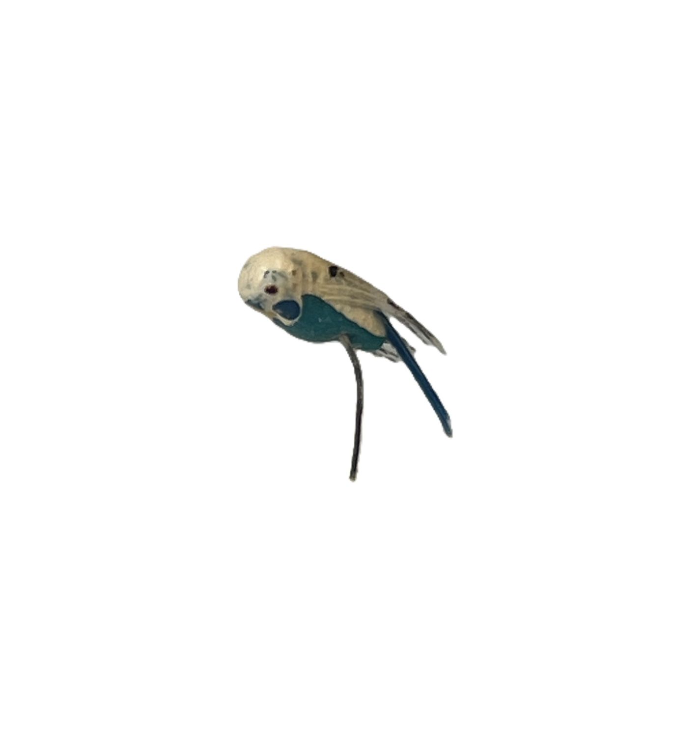 Blue bird