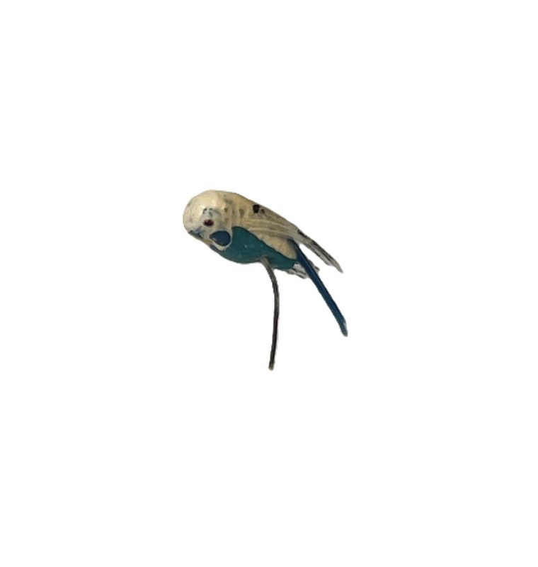 Blue bird