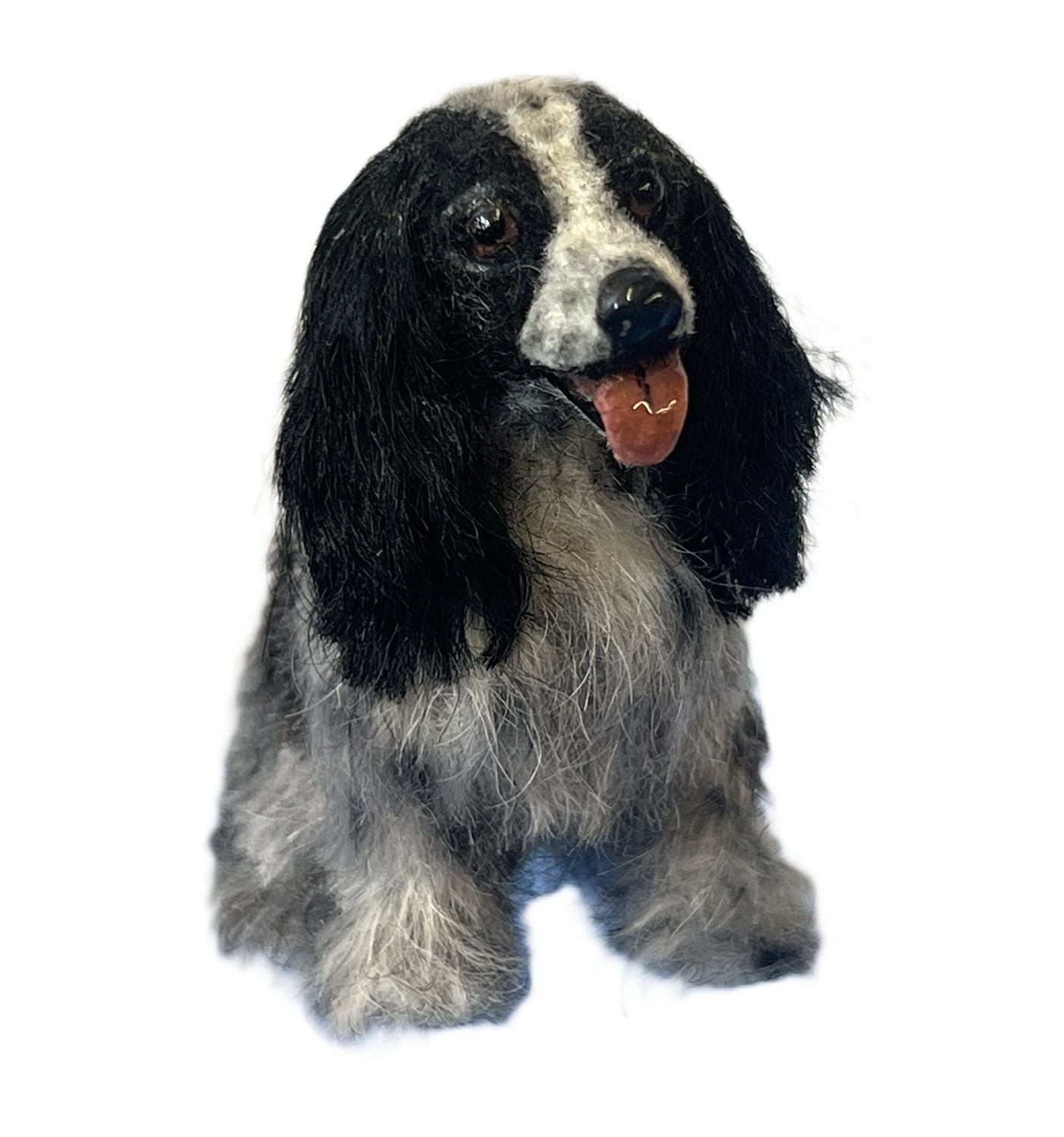 Furry  English Cocker Spaniel