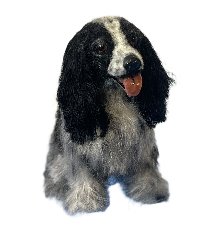 Furry  English Cocker Spaniel