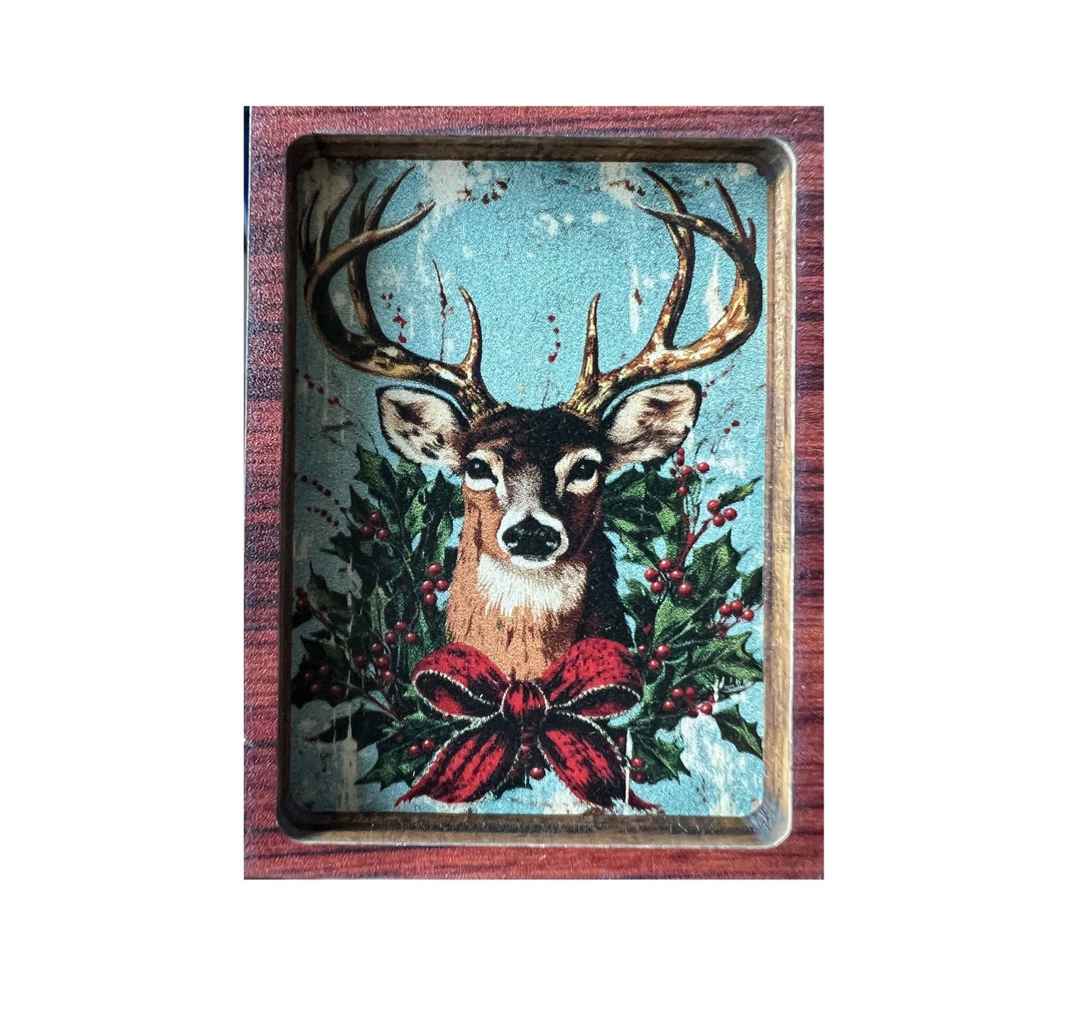 Christmas Deer Picture