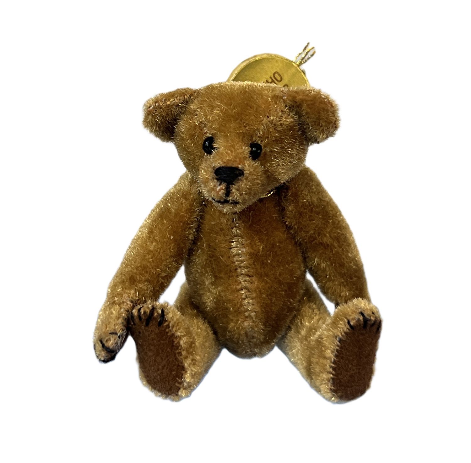 Brown Bear by Carol Stewart