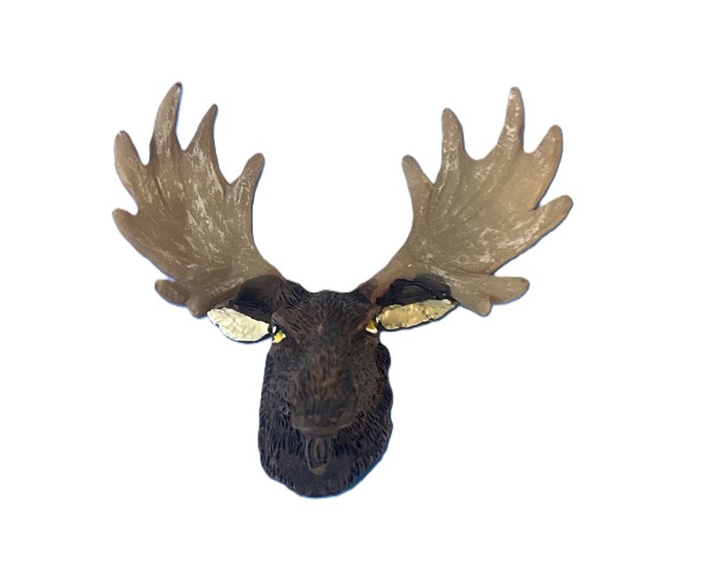 Moose Head
